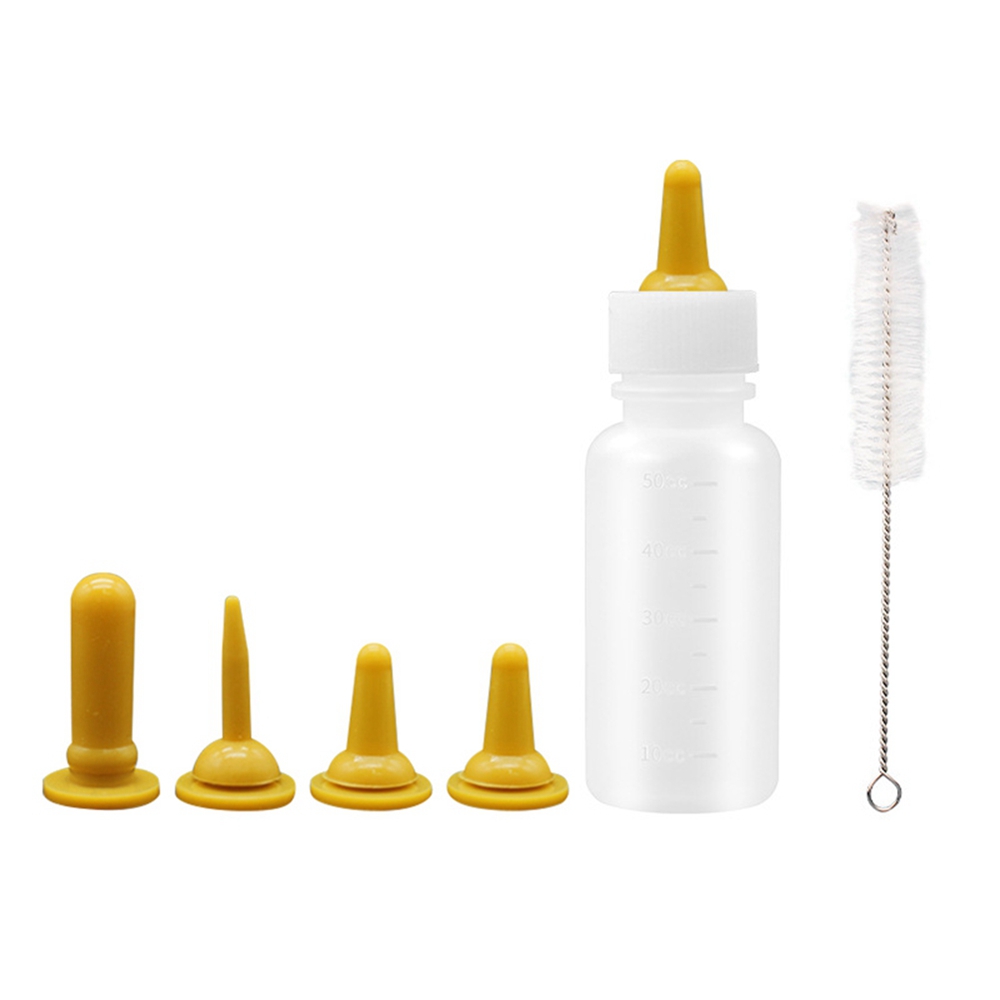 Kitten teats and bottles hot sale