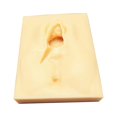 thumbnail image 3 of Perineal Practice Episiotomy Simulator Professional Heavy Duty Accessories Supplies Suturing Simulator for Doctor Study , Cut Left, 3 of 8