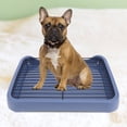 thumbnail image 1 of Dog Potty Tray, Anti Leakage Dog Litter Box  for Pet Shop, 1 of 7