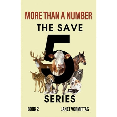 More Than a Number (Paperback) by Janet Vormittag