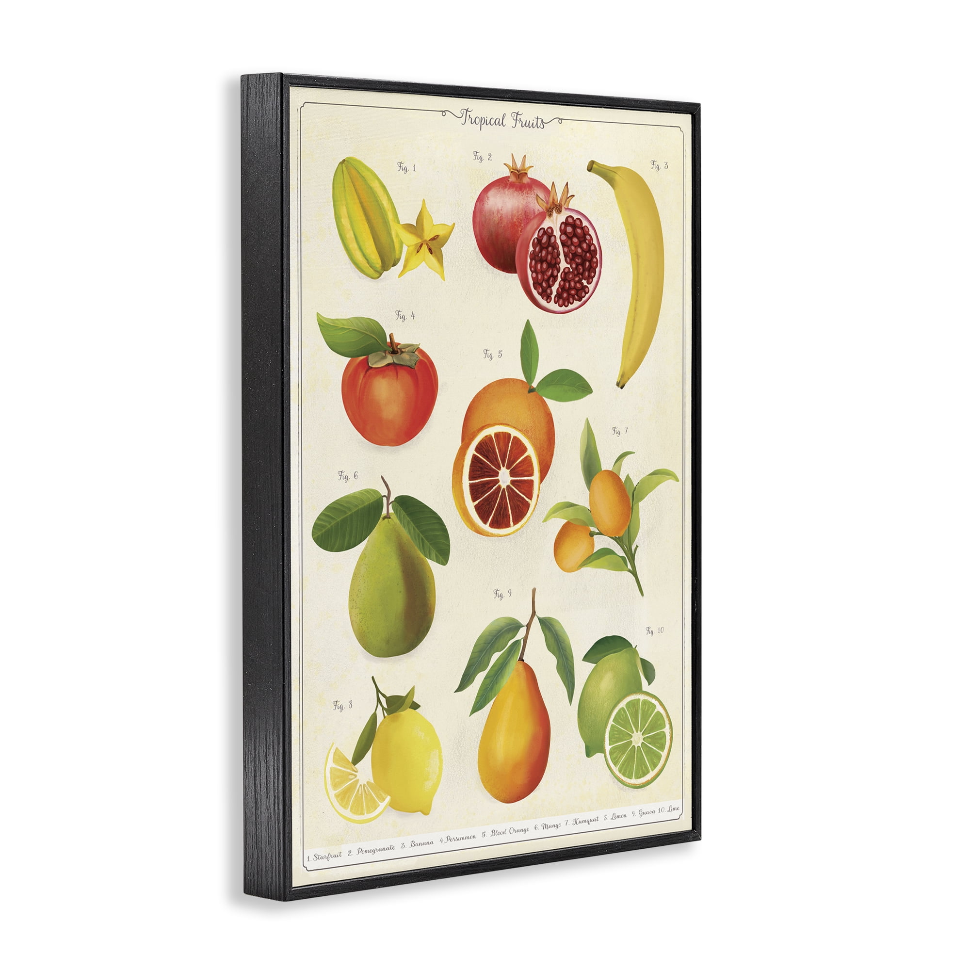 Stupell Industries Vintage Tropical Fruit Studies Black Framed Giclee Art, design by Diane Neukirch