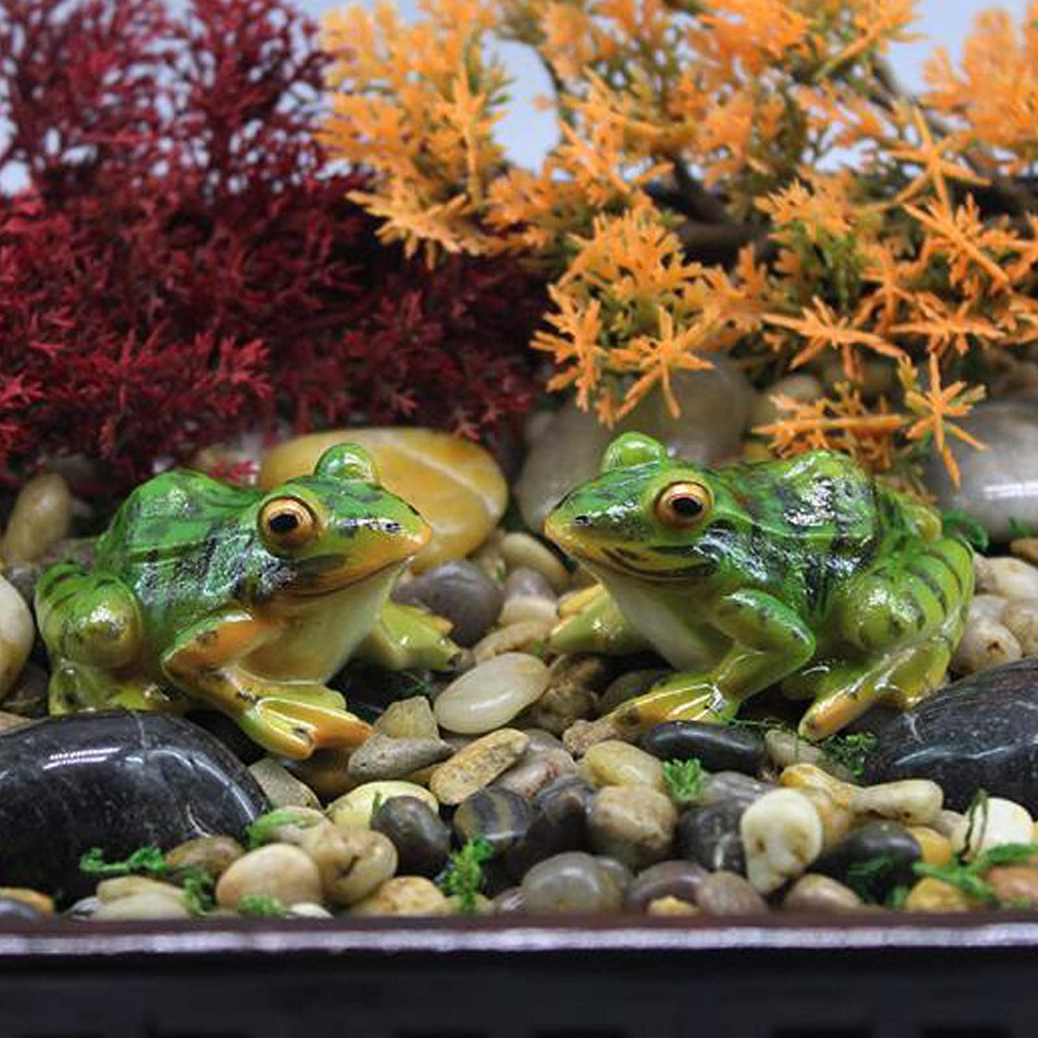  RTUDOPUYT 60 pcs Mini Frog Garden Decor, Mini Resin Frogs, Tiny  Plastic Frogs, Miniature Frog Animals Home Decoration, DIY Terrarium  Crafts, Fairy Garden Decor : Patio, Lawn & Garden