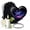 Dragonfly Urn-54, variant on JAGASY Dragonfly Urn - 8" Black Urns for Human Ashes - Large Decorative Crown Urn for Adult Remains - Galaxy Black Urns for Memorial Tribute