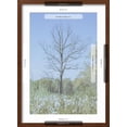 thumbnail image 5 of Art.com Empty Tree in Field Photographic Print, Brown Frame Wall Art, 17" x 23", 5 of 5