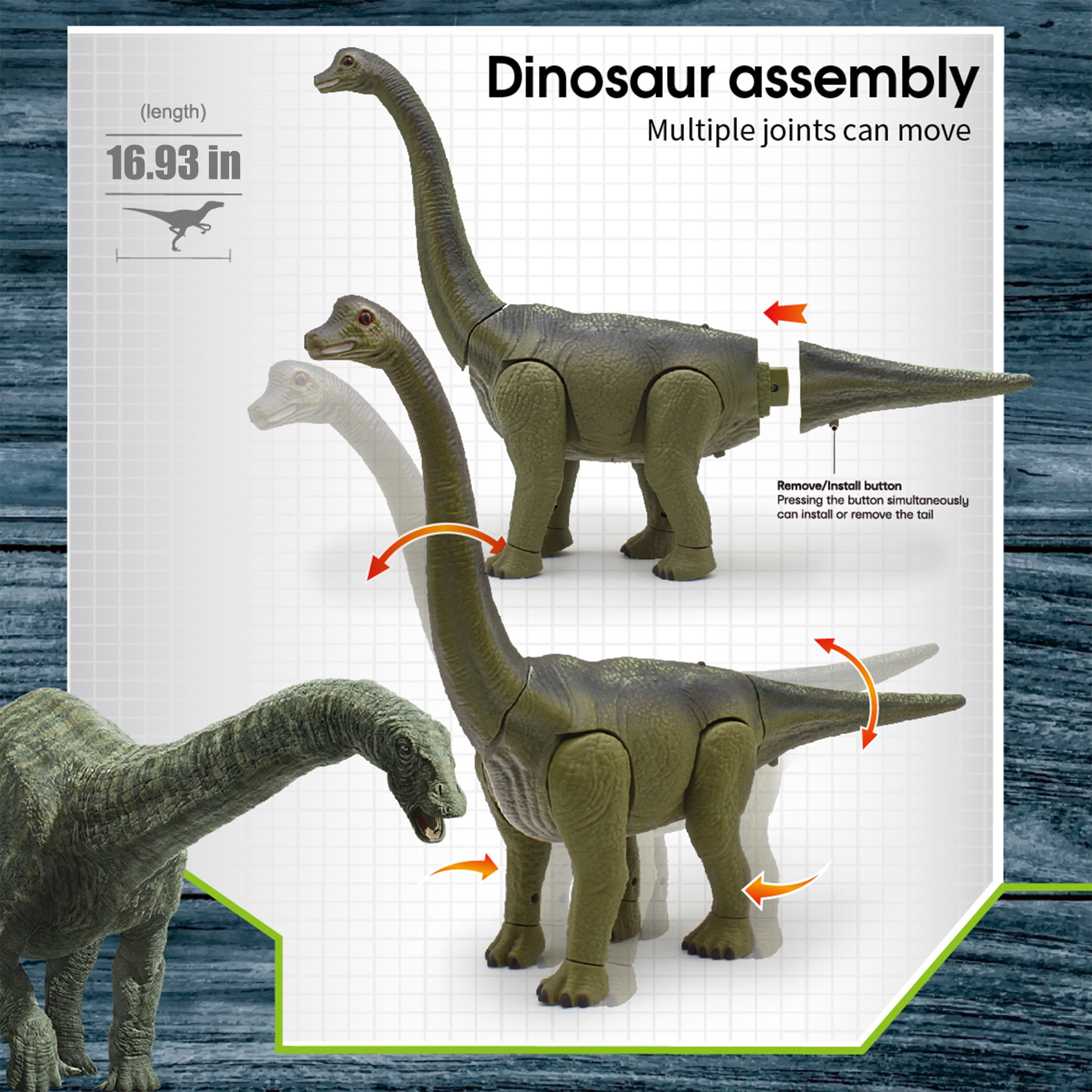 KOPPOP Infrared Remote Control Brachiosaurus, Long Neck Dinosaur with Smooth Walking Motion & Easy Operation Educational Animal Model