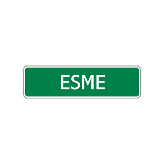 Esme Girls Children Name Decoration Label Indoor Outdoor Unique Wall Novelty Letter Printed Plaque Aluminum Metal Sign 4"x13.5"