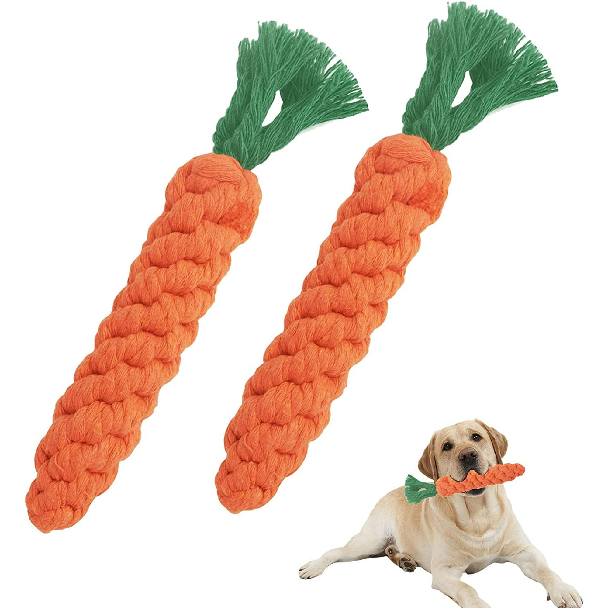 Are Carrots Ok For Puppies To Chew On