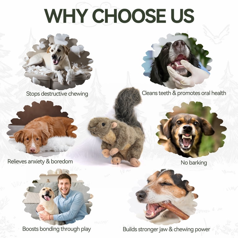 All for Paws Classic Squirrel Pet Toys, Small