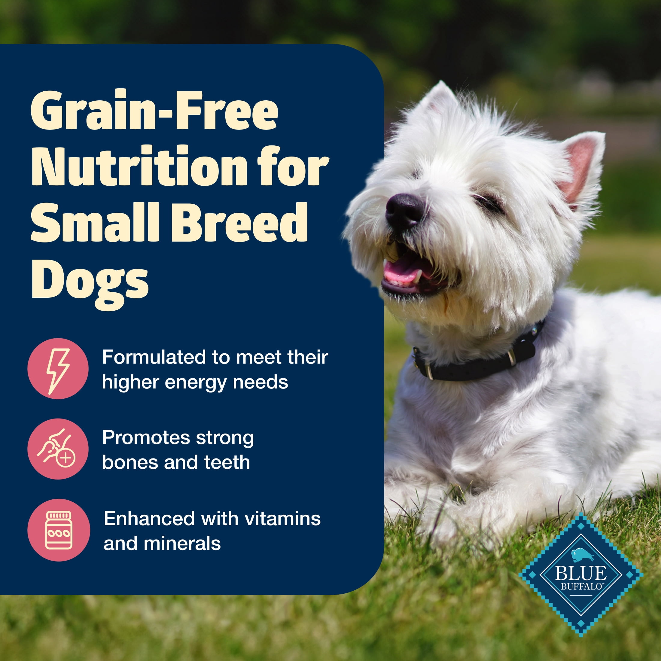 Blue Buffalo Freedom Grain-Free Small Breed Adult Dry Dog Food, Chicken & Potatoes, 11 lbs.