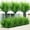 Green Grass, variant on 8 Bundles Artificial Ferns for Outdoors Fake Boston Fern Large Greenery Plants UV Resistant Faux Plastic Plants Shrubs for Garden Front Porch Window Box Indoor Outside Decoration