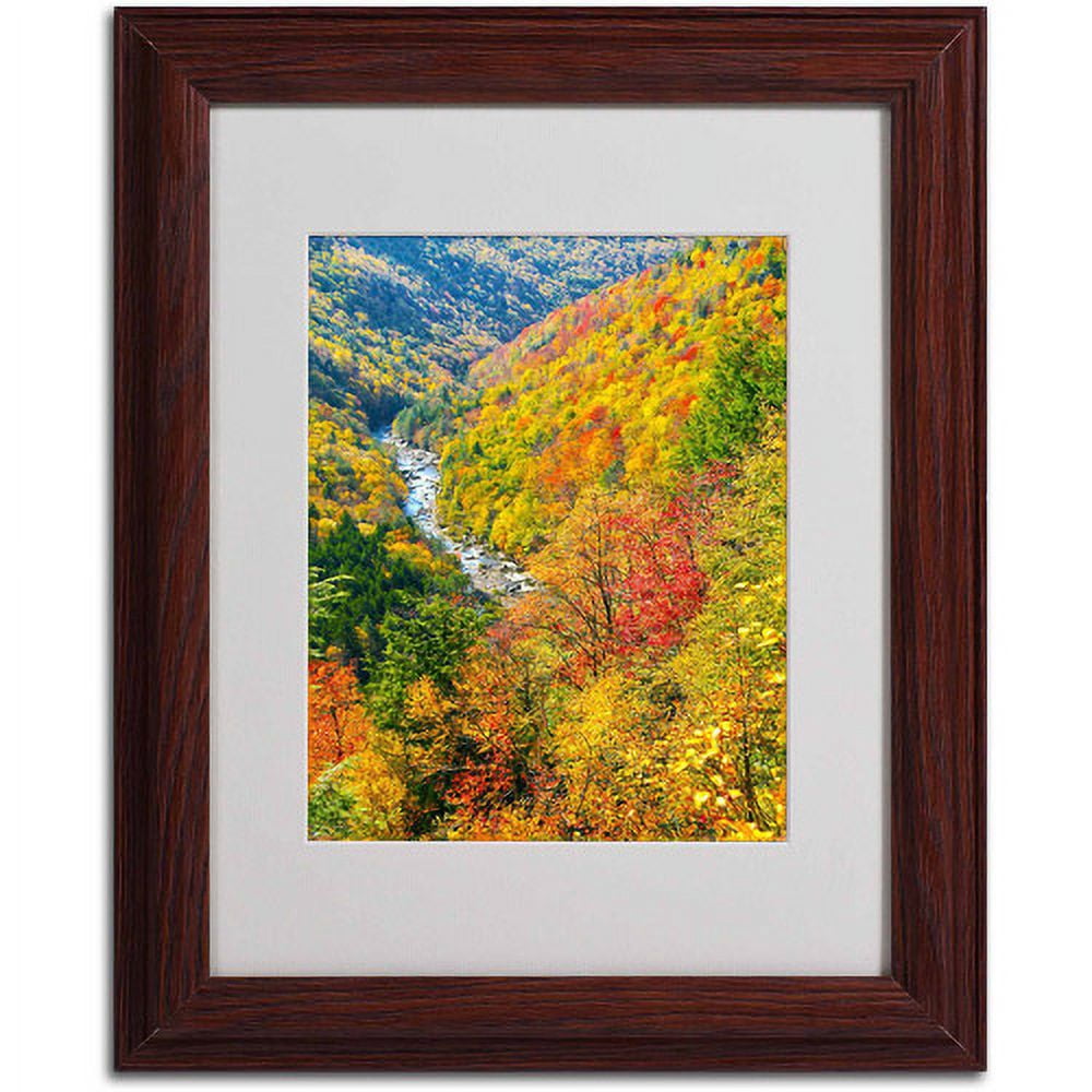 Trademark Fine Art "Valley" Canvas Art by CATeyes, Wood Frame