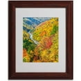 thumbnail image 2 of Trademark Fine Art "Valley" Canvas Art by CATeyes, Wood Frame, 2 of 3