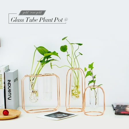 Glass Tube Plant Pot with Iron Stand Glass Test Tube Design Vase Plant Pot Holder Container Flowers Plants Home Garden