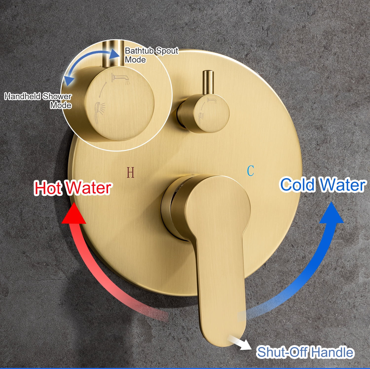 Rainlex One-Handle 1-Spray Setting Brushed Gold Bathtub Shower Faucet
