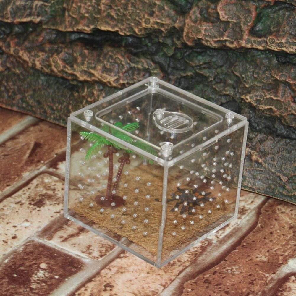 Reptile Breeding Box Clear Acrylic Reptile Terrarium Feeding Box for