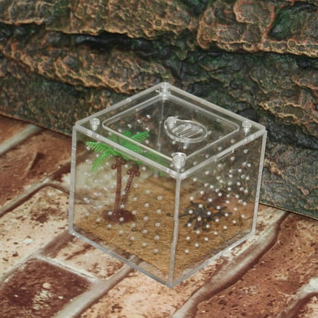 Reptile Breeding Box Clear Acrylic Reptile Terrarium Feeding Box for