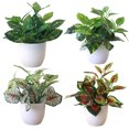 thumbnail image 2 of Cheers Fresh Artificial Foliage Plant Pot Bonsai Party Mall Home Desktop Office Decor, 2 of 7