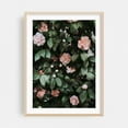 thumbnail image 2 of Light Pink Camellias - Visalia California Photography Floral Flowers Botanical Garden Nature Pastel Vintage Unframed Wall Art Print 6 x 8 inches, 2 of 16