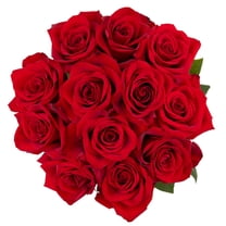 Red Label Tea 3 Roses From You Flowers One Dozen Red, Pink, Purple & White Roses with a Clear ...