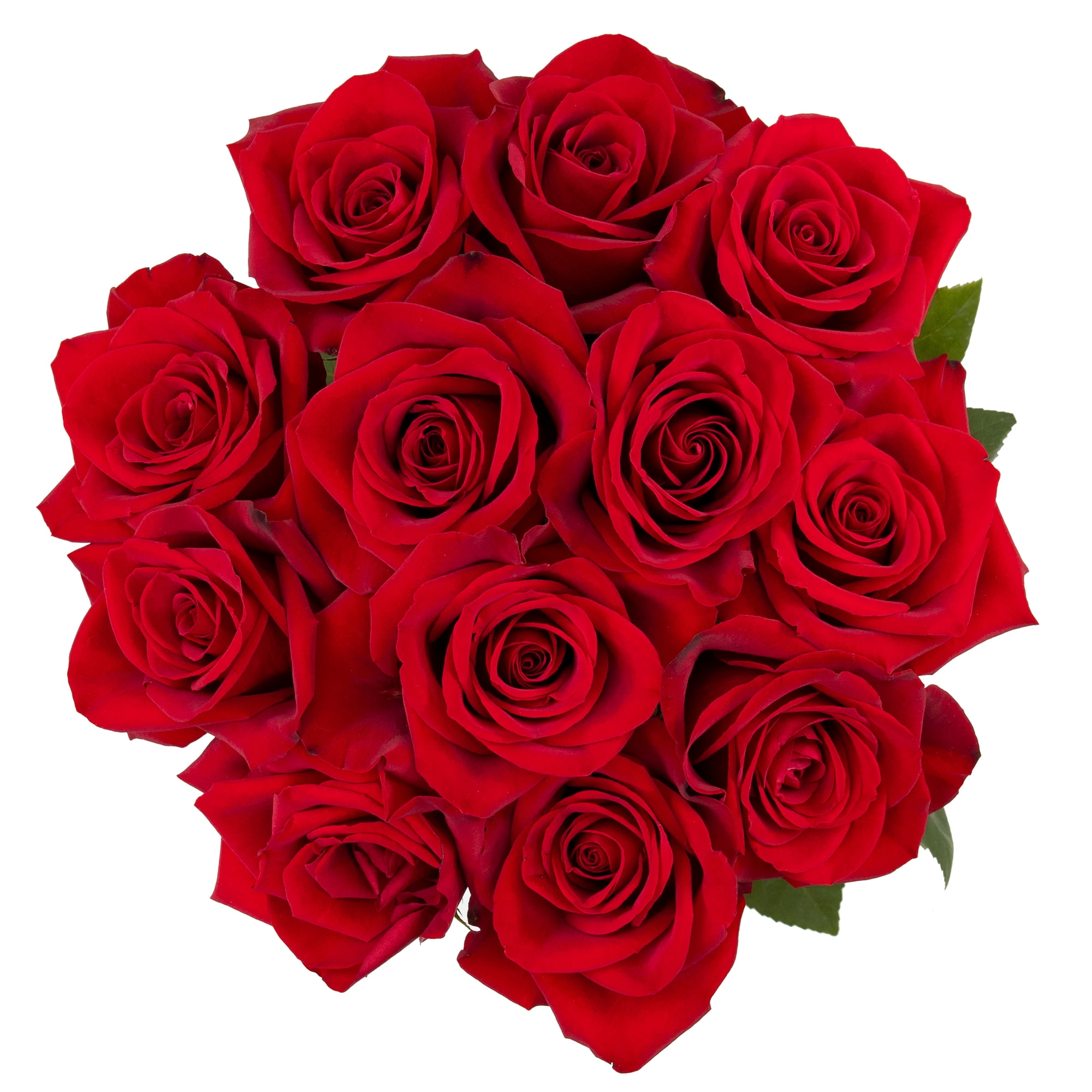 Dozen Red Roses