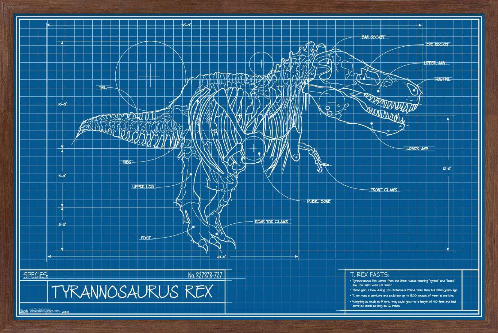 T-Rex Minimalist Design Clock Dinosaurs Breeds Modern Wall Clock Nursery Decor 