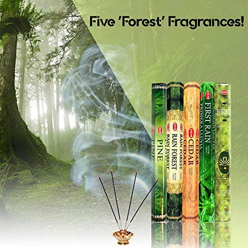 Cedar Pine Hem Incense Forest Rain Forest First Rain 5 x 20 100 Sticks 