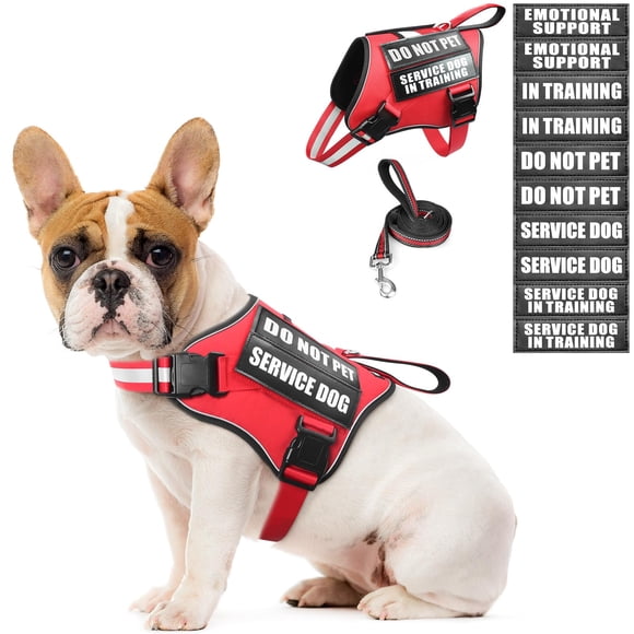 Set de chaleco, arnés y correa para perros de servicio MOOGROU rojo talla S