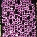 thumbnail image 2 of Sparkling Spider Webs Shiny Purple Glittering Craft Ribbon 3.8cm x 54 Yards, 2 of 2