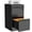 Black-2 Drawer, variant on 4 Drawer File Cabinet with Lock, 17.8'' Deep Filing Cabinets for Home Office, White Locking Vertical File Cabinets for Letter/Legal/A4/F4 Size, Assemble Required