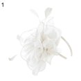 thumbnail image 2 of Jiaroswwei Cocktail Tea Party Women Headwear Fascinators Hat Feather Floral Mesh Hair Clip, 2 of 8