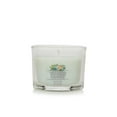 thumbnail image 3 of Yankee Candle Signature Votive Mini Candle Jar, Aloe & Agave Scent, Natural Soy Wax Blend Candle with Natural Fiber Wick, 1.3 OZ Glass Jar (Pack of 4), 3 of 4