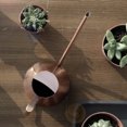 thumbnail image 1 of Lata De Riego, Lata De Agua De Acero Inoxidable Con Hervidor De Agua De Metal Largo Para Plantas Para Exteriores E Interiores De Bronce, 1 of 7