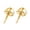 Gold Ear Stud Stick, variant on Earring Backs Replacement Ear Studs Gifts Jewelry Supplies Ear Earring Stopper for Holiday Outdoor Travel Mother's Ear Stud Stick