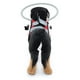 thumbnail image 5 of Arnés Walking Halo para perros ciegos GabeFish Red Small, 5 of 7