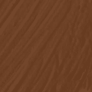 Rich Chocolate