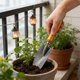 thumbnail image 4 of Pala de Jardinería Qazbgdl para Flores y Verduras | Hoja de Acero con Mango de Madera | Paleta de Mano Ligera para Jardineras | 1 Paquete, 4 of 6