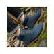 thumbnail image 4 of Botines de invierno con forro de felpa para hombre y mujer, botas de combate de media pantorrilla, cómodos, antideslizantes, cálidos, ligeros y con suela dentada., 4 of 5