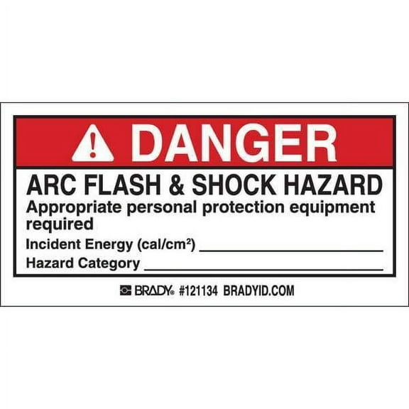 Brady Permanent Adhesive Label,2 inx4 in,PK100 121134
