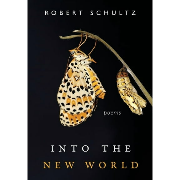 Into the New World (Hardcover)