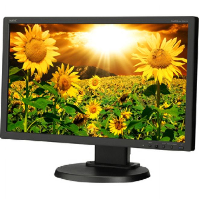 NEC Display MultiSync E201W 20" Class LCD Monitor, 16:9 - image 2 of 4