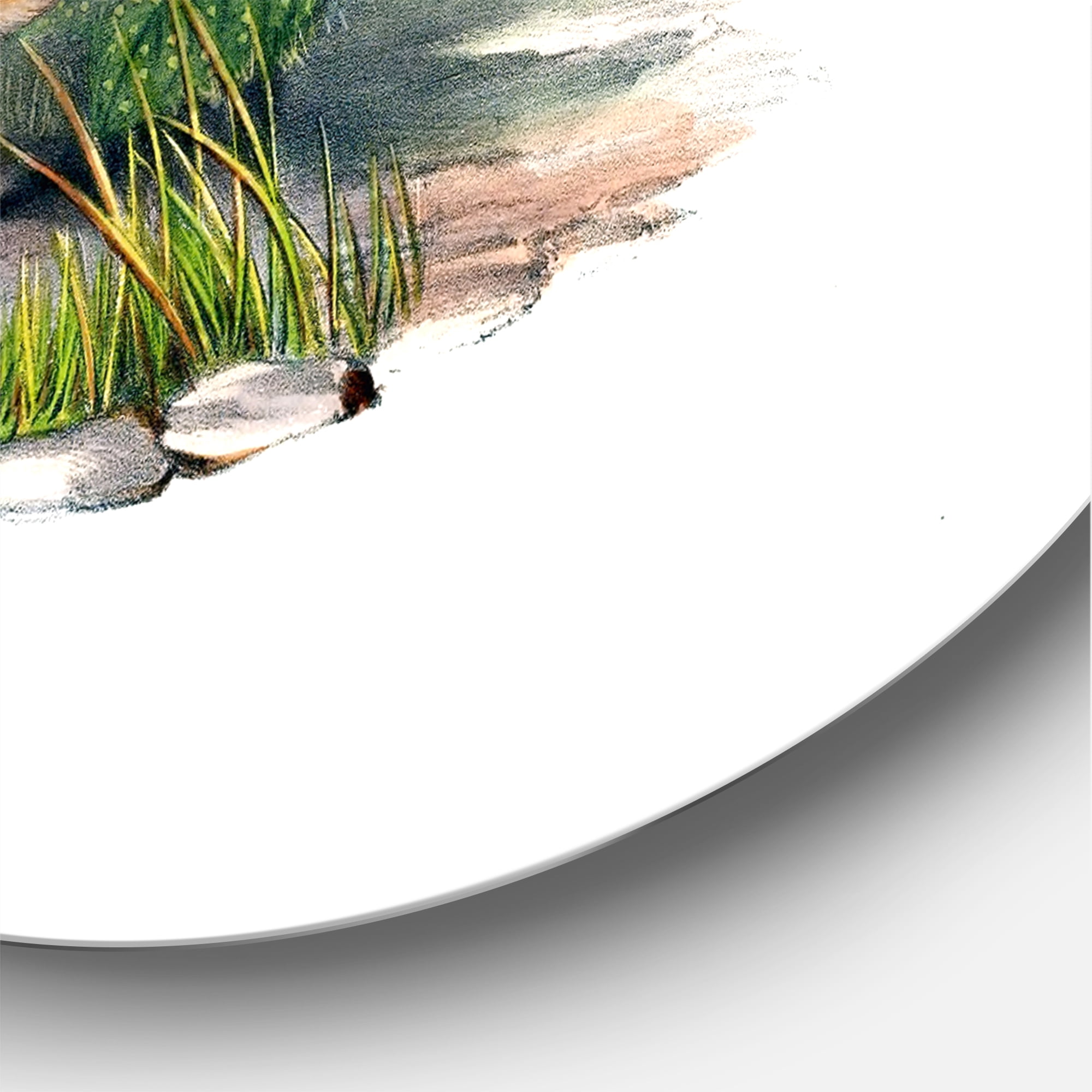 Designart 'Ancient Birds In The Wild IV' Traditional Circle Metal Wall Art 23x23 - Disc of 23
