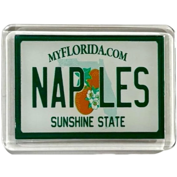 Naples Florida License Plate Acrylic Small Fridge Collector's Souvenir Magnet 2.35" X 1.75"