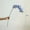 Blue, variant on Real Touch Orchid Stem in Various Colors 35" Tall