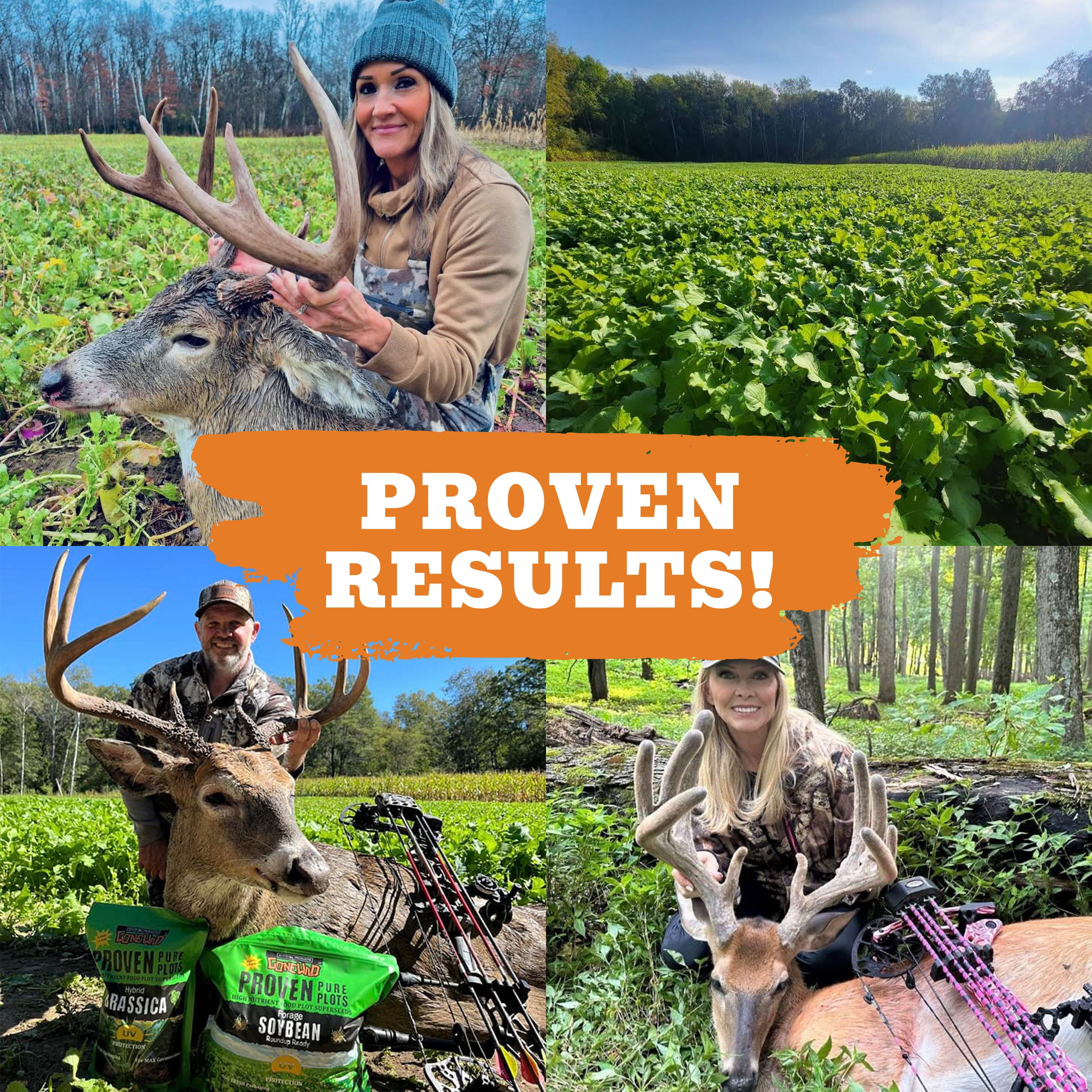 Whitetail Products Gone Wild, Forage Kale Food Plot Seeds, 3lb Bag, G1853
