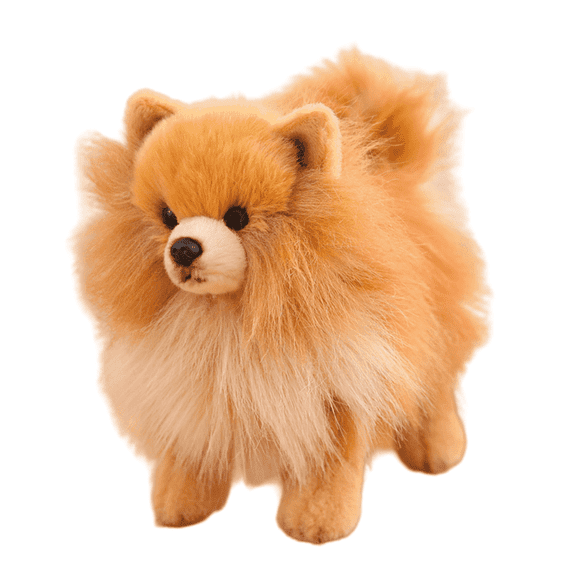 Cute Pomeranian Dog Stuffed Animal Plush- Realistic Pet Plush Toy Kid's Room Decor Gift -10.2 inches