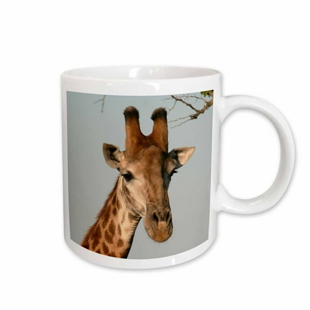 

3dRose South African Giraffe head face sky background Ceramic Mug 15-ounce
