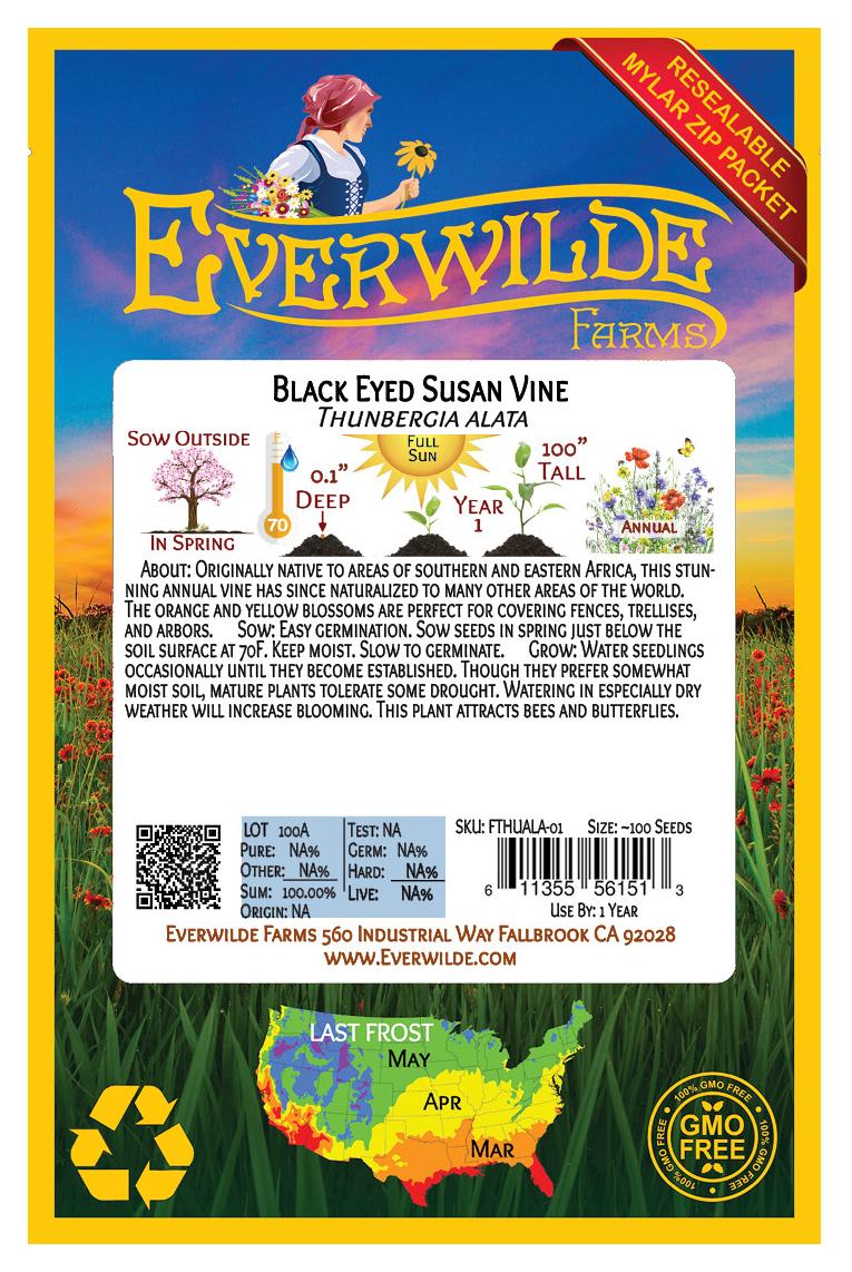 Everwilde Farms - 100 Black Eyed Susan Vine Garden Flower Seeds - Gold Vault Jumbo Bulk Seed Packet - image 2 of 5