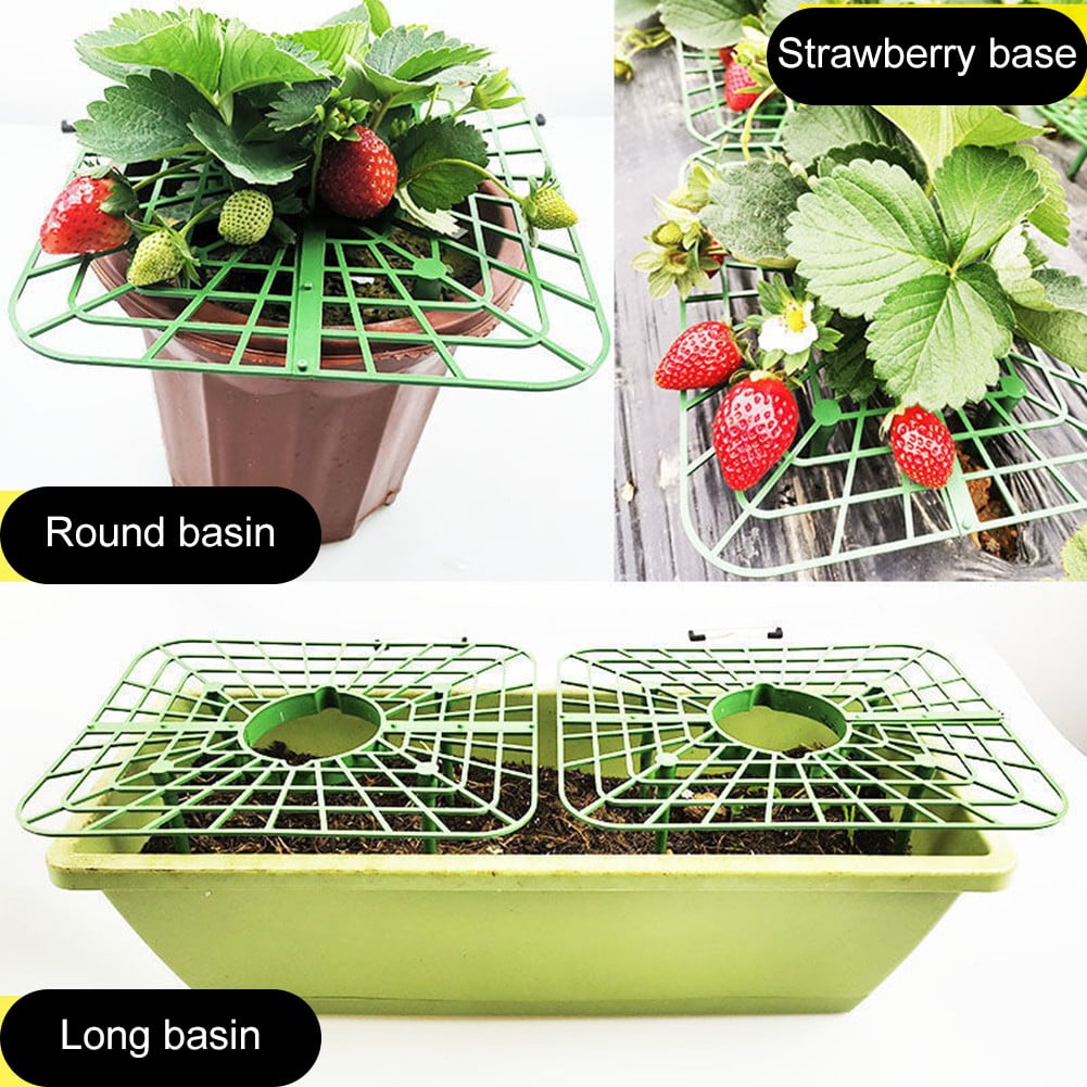 5/10Pcs Strawberry Plant-Supports With 4 Sturdy Legs Strawberry Growing Racks Protector Frame Holder Cage From Mold Rot Dirts