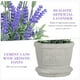 thumbnail image 3 of ADDHAT Planta Lavanda Falsa En Maceta Para De Oficina Y En Tonos, 3 of 7