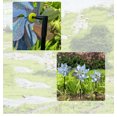 thumbnail image 3 of Repelente de pájaros (paquete de 10), espantapájaros de molino de viento reflectante, ahuyenta a los pájaros del jardín, huerta, hogar, granja, más seguro y eficaz que los pájaros con pinchos y el rep kaili Sencillez, 3 of 5